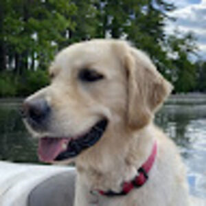 Meet your Posher, Agnes